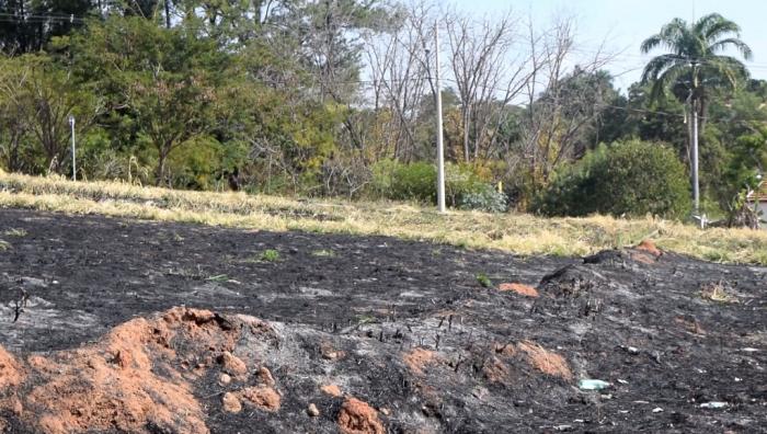 Meio Ambiente reforça fiscalização em terrenos atingidos por queimadas